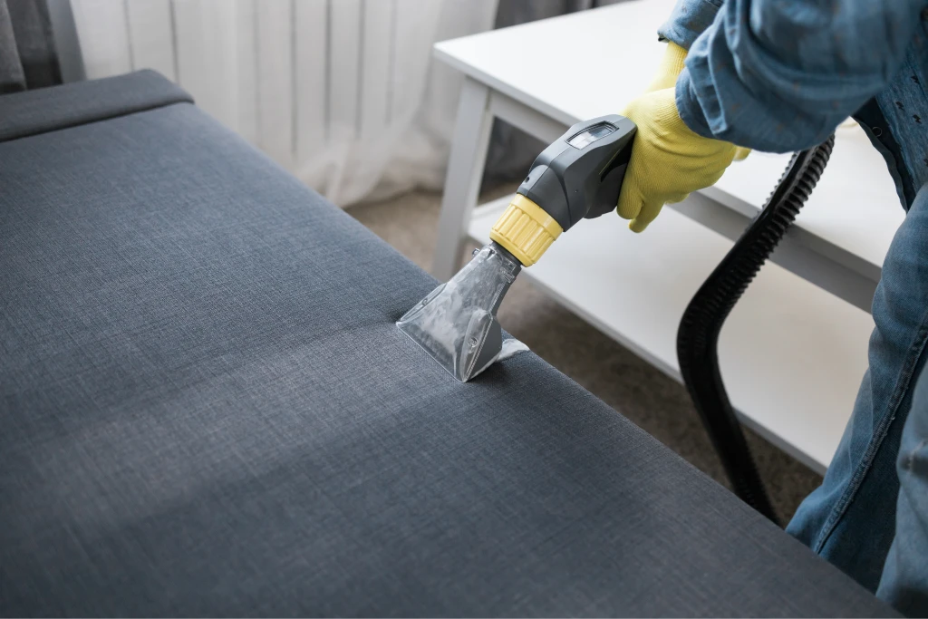 "Carpet Cleaning Cleaning Services Window Cleaning Upholstery Cleaning Commercial Cleaning Move Out Cleaning Residential Cleaning"